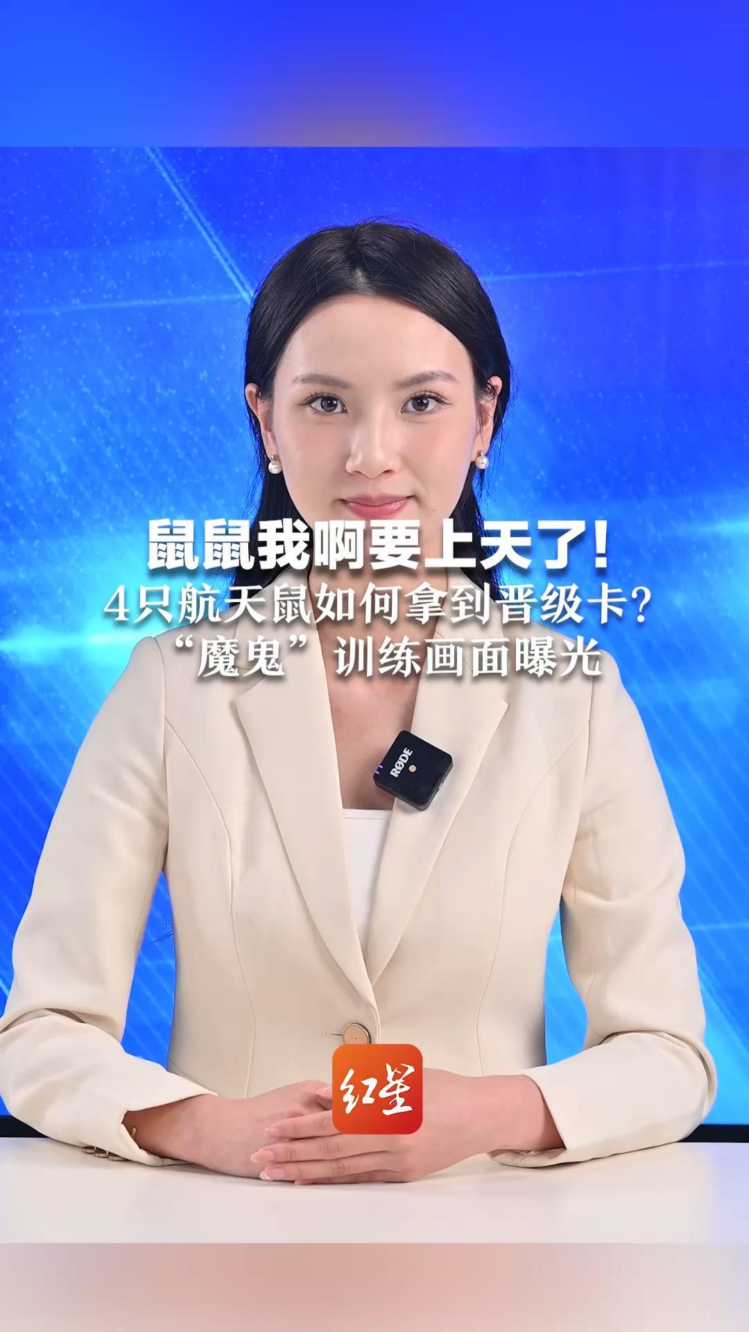 鼠鼠我啊要上天了！4只航天鼠如何拿到晋级卡？“魔鬼”训练画面曝光 要活着上太空，还得活着回地球