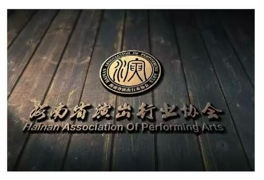 海南演出行业协会打造“演艺+旅游”新业态 赋能海南国际演艺之都建设
