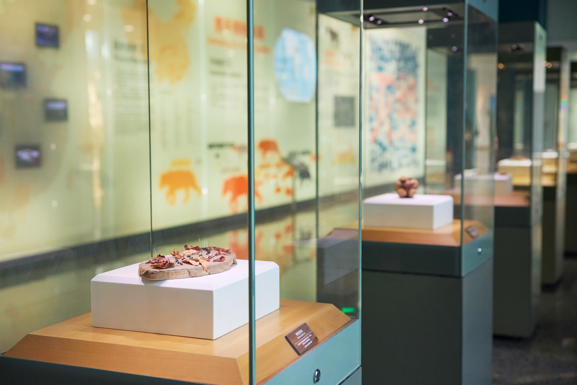 崂山区以博物馆为载体 推动文旅融合向纵深发展