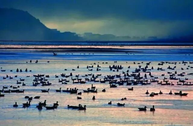 AG尊龙凯时- 尊龙凯时官方网站- 尊龙凯时APP下载《开局地摊卖大力