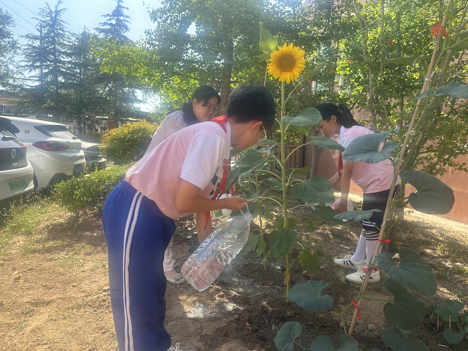 城阳区赵红路小学:“融”学科·“联”社团·“拓”场域,小学“劳育+”实践新样态