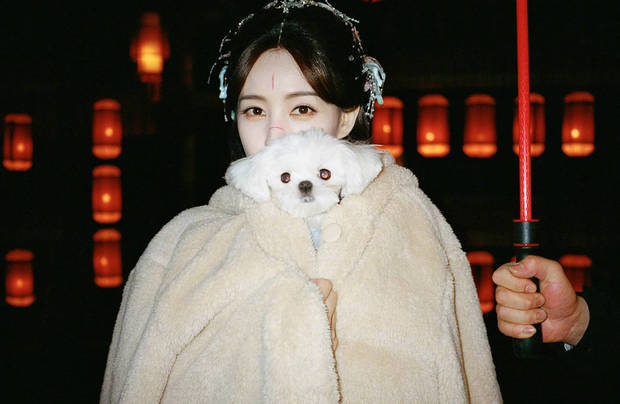 李一桐裹着毛绒外套,抱着小狗,画面温馨可爱。