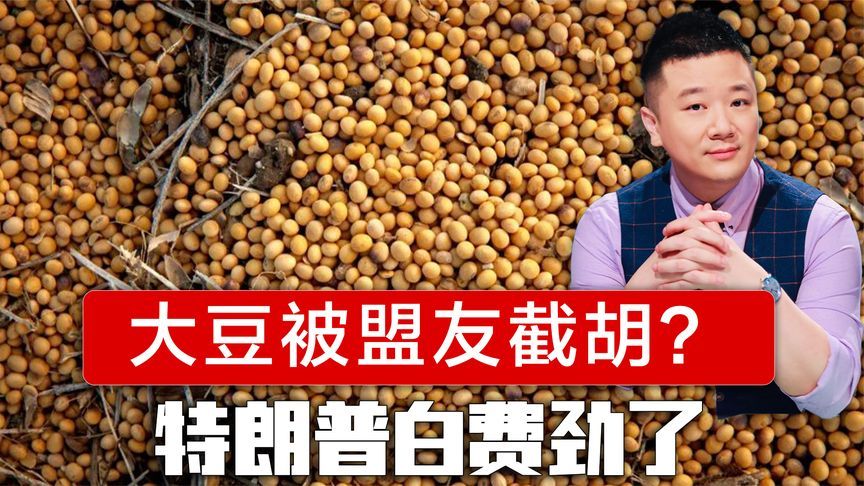 巴西对美低头，大豆进口一事有变？特朗普没想到，又要被盟友截胡