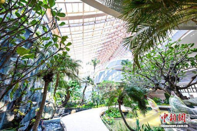 一张登机牌打开济南:从“泉城”到世界旅游目的地,靠的不只是泉水