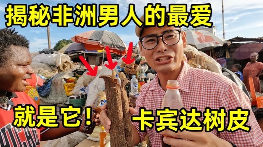 揭秘非洲男人的最爱，神奇的卡宾达树皮，喝了之后到底什么感觉？