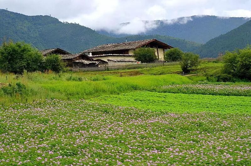 AG尊龙凯时- 尊龙凯时官方网站- 尊龙凯时APP下载尊龙凯时人生就是搏·(中国区)官方网站