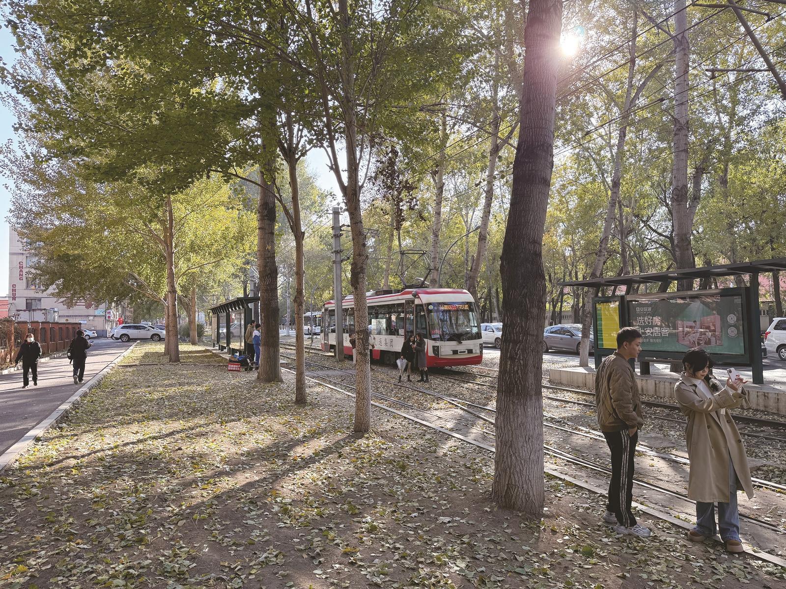 落叶打造秋日浪漫