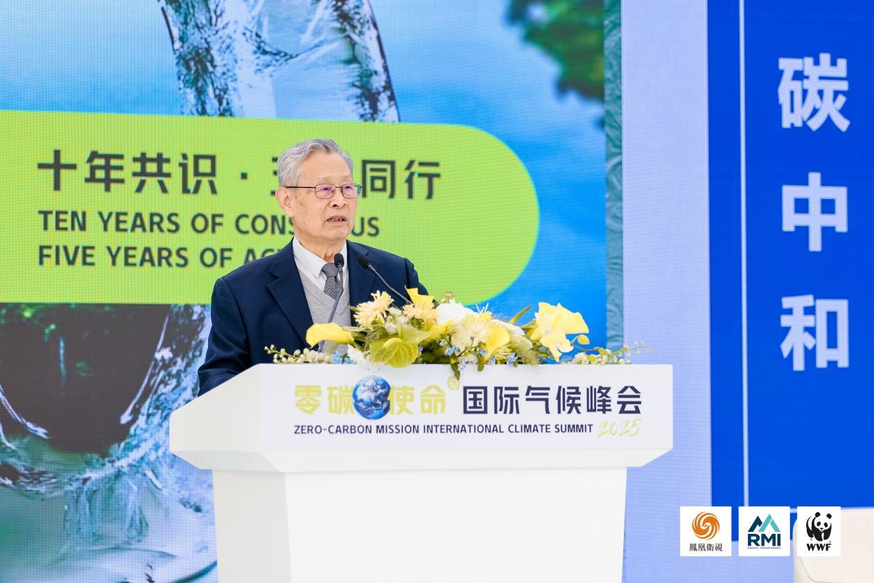 中国工程院院士,国家能源咨询专家委员会副主任杜祥琬