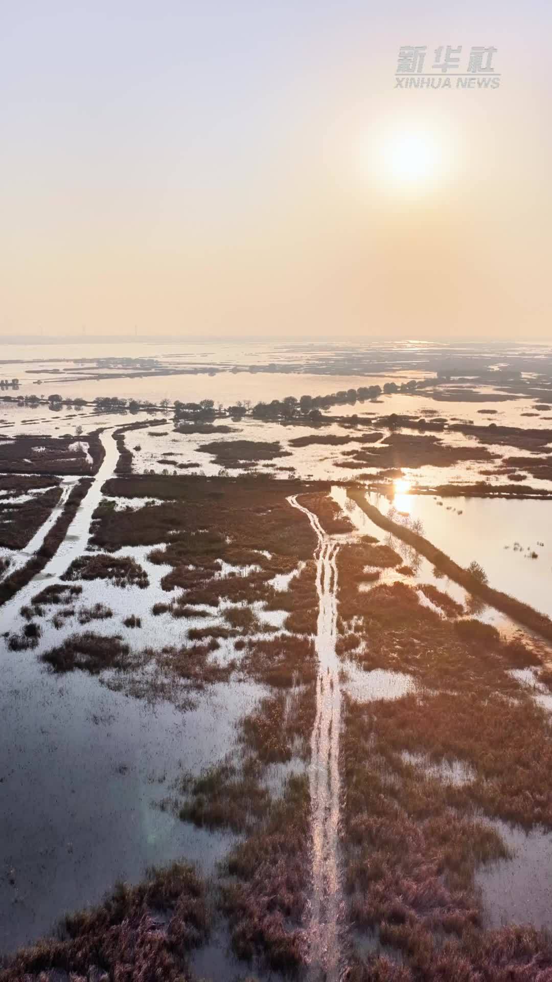 湿地秋语｜淡水湿地 万鸟竞翔