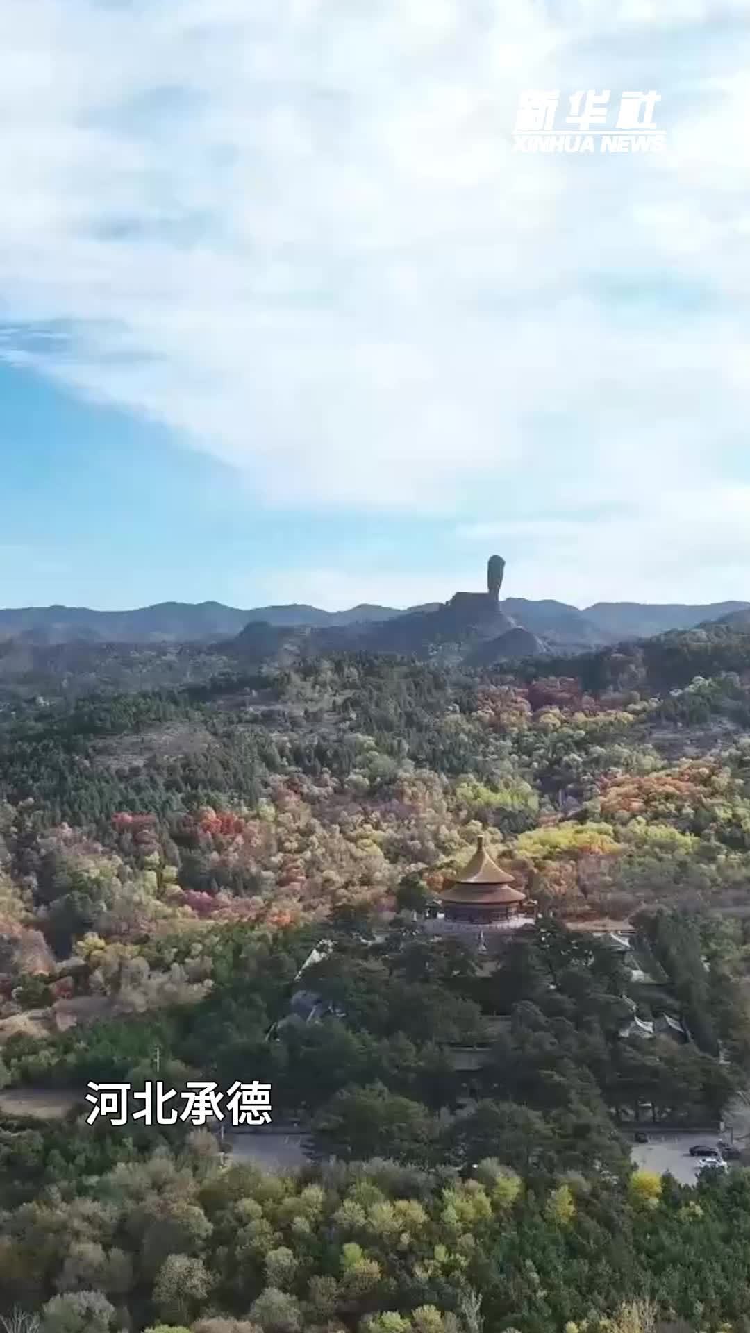 重阳节：敬老传美德 祈福享安康