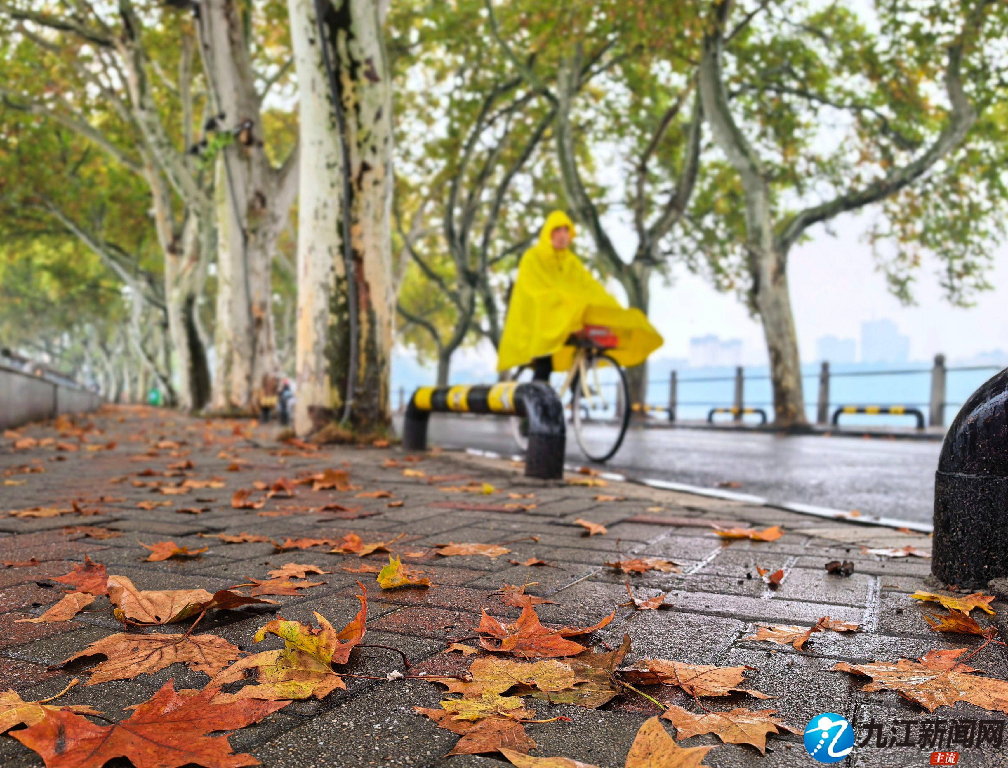 九江：秋浓叶落醉浔城（图）