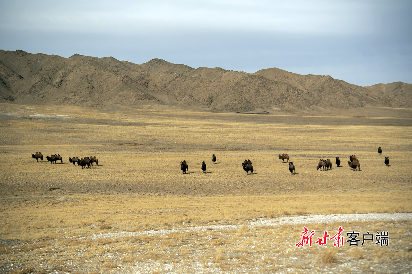 甘肃阿克塞高原美景如画