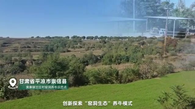 行进中国丨古老窑洞正焕发新生