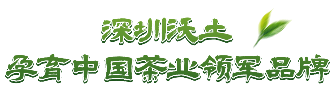 上市！“高端中国茶第一股”，来自深圳罗湖！