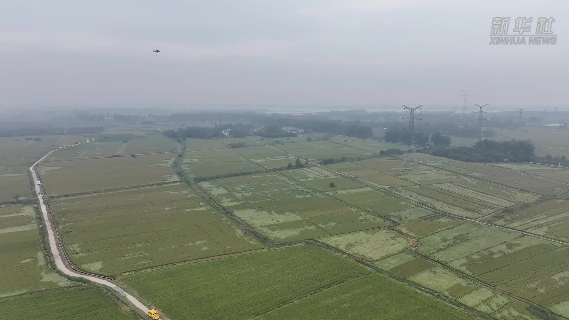 直升机辅助空中消缺 护航“能源走廊”