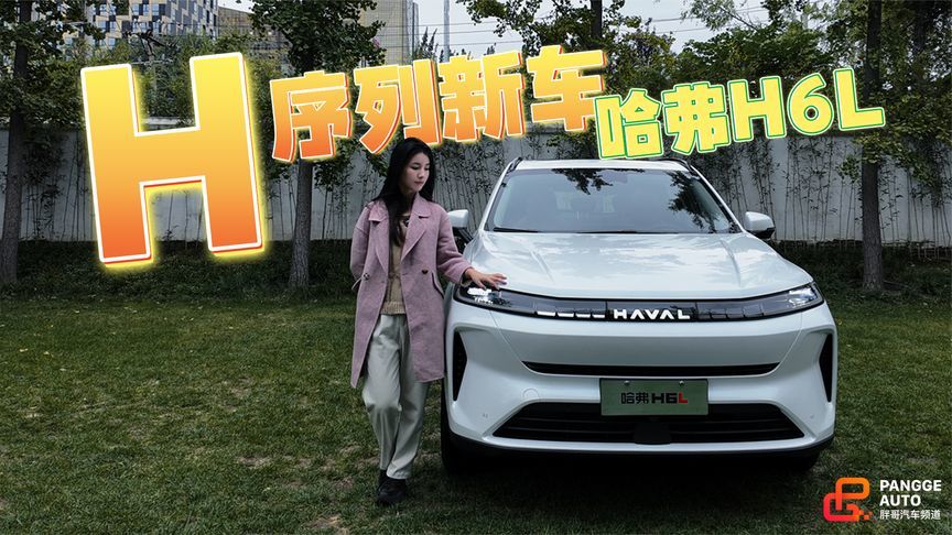 喜欢哈弗枭龙的朋友们看过来，看看这辆车眼熟不？