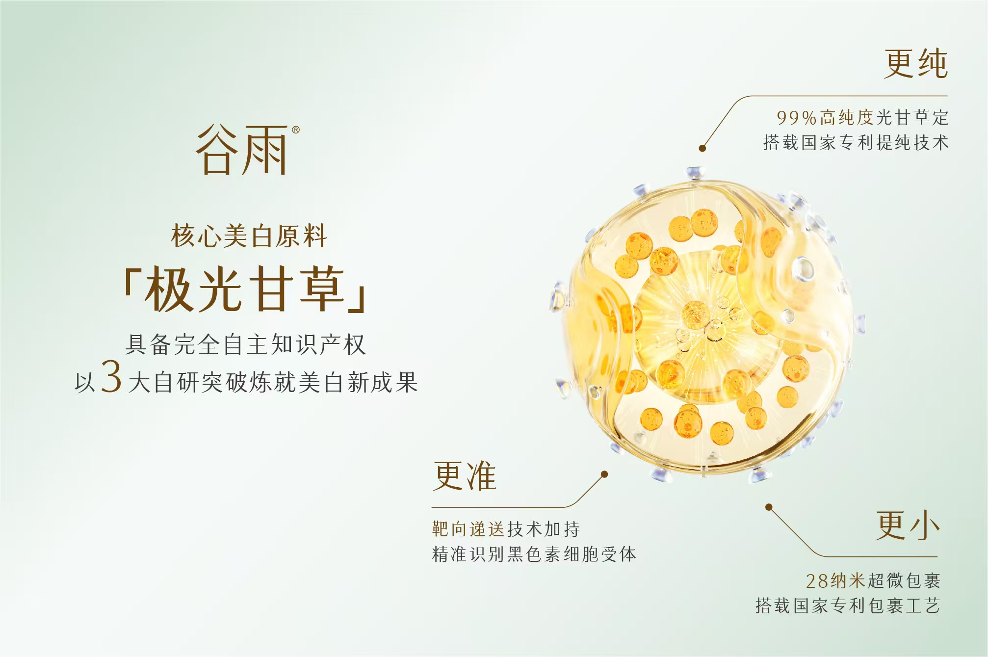 点击查看原始图片