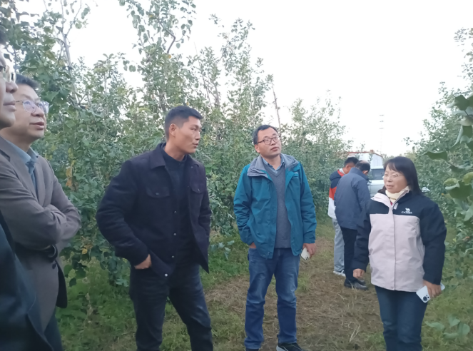 睢宁：科技特派员赋能果树产业提档升级