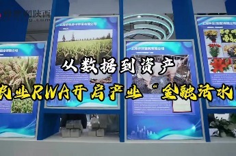 从数据到资产：农业RWA开启产业“金融活水”