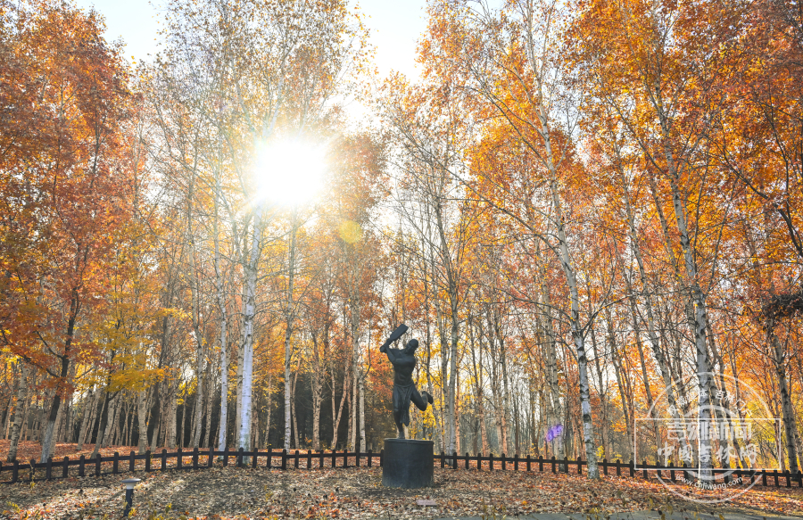 长春世界雕塑园秋景正盛 市民赏秋好去处