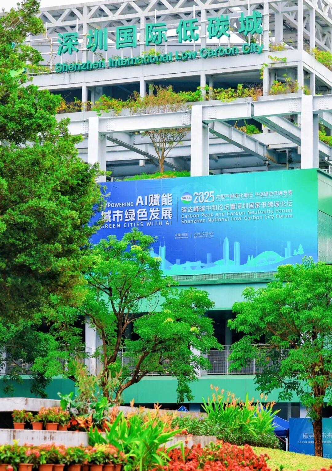 龙岗融媒记者 李凯 摄