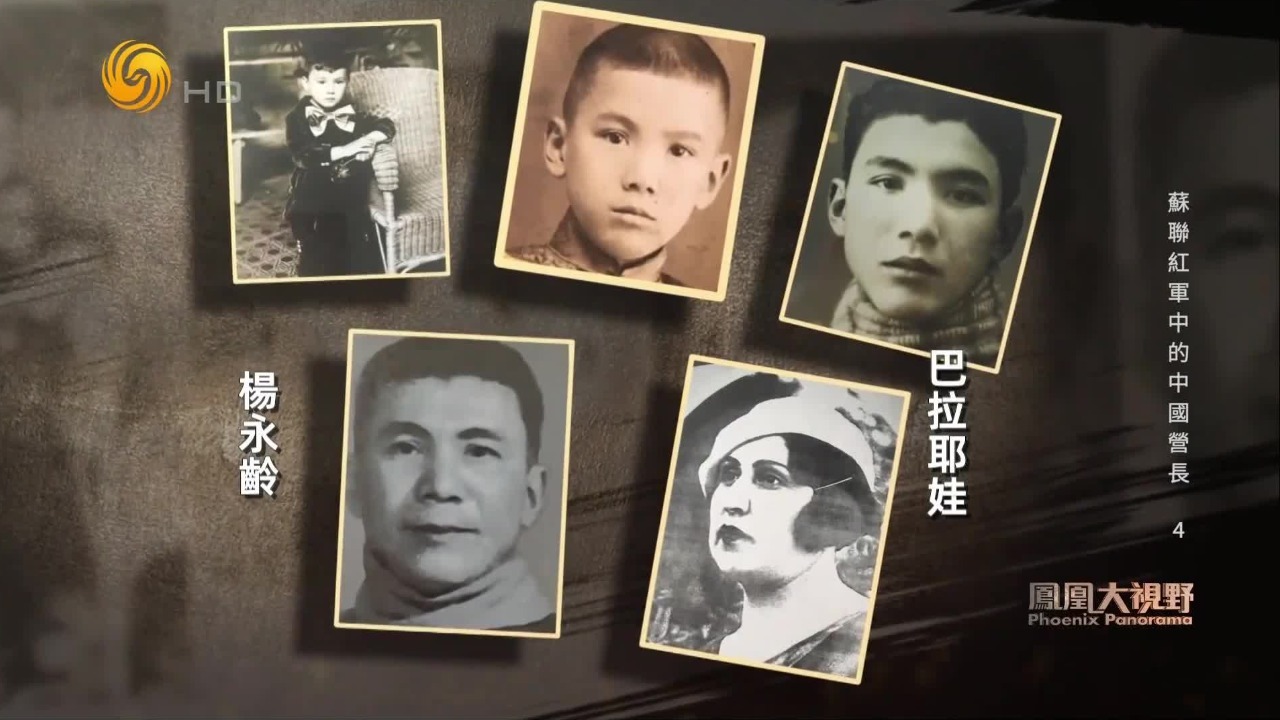 杨家后人根据史料寻找亲人的生平，一张照片揭开战乱年代亲人失散的痛楚