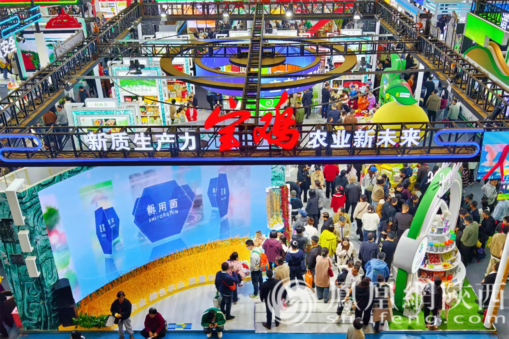 第32届杨凌农高会：宝鸡展团亮点足 麟游“四宝”受热捧