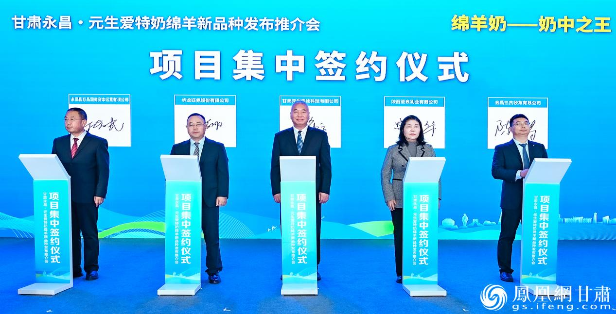 甘肃永昌&middot;元生爱特奶绵羊新品种发布推介会项目集中签约仪式举行