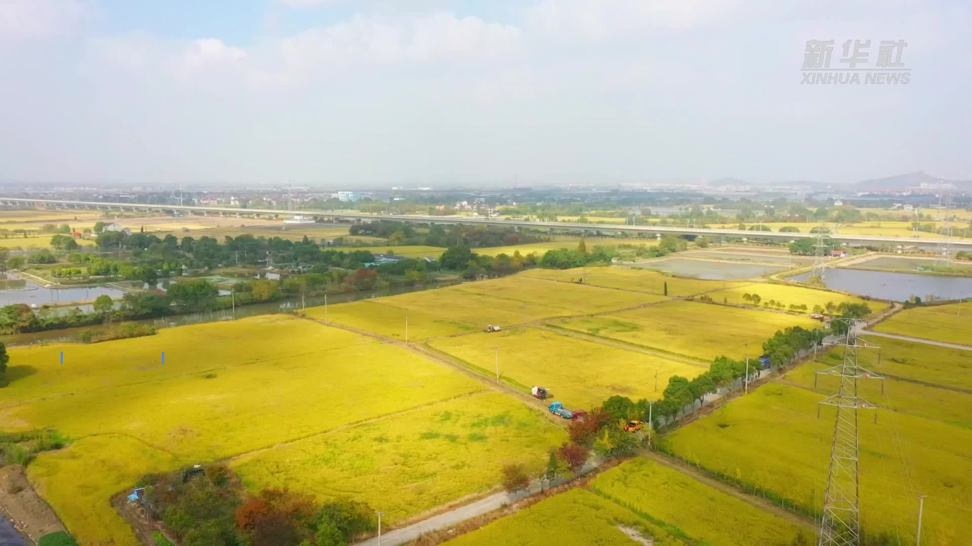 浙江湖州：共绘秋收好丰景