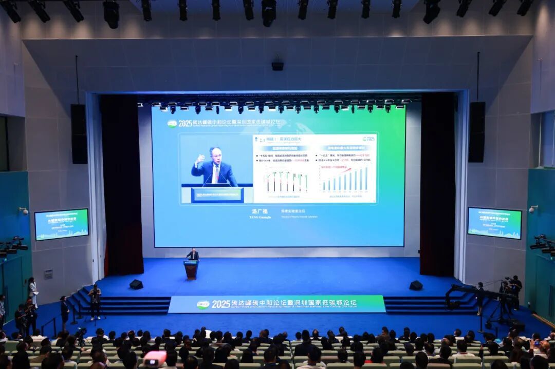 龙岗融媒记者 李凯 摄