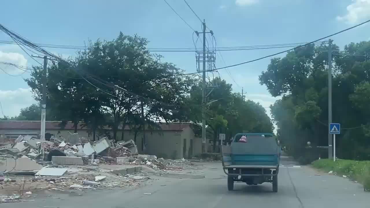 影子暗访丨“毒营养土”调查（上）：建筑垃圾摇身一变成营养土，检出重金属超标
