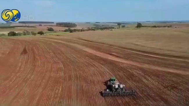 一颗小小的大豆，为何能左右特朗普政治命运？