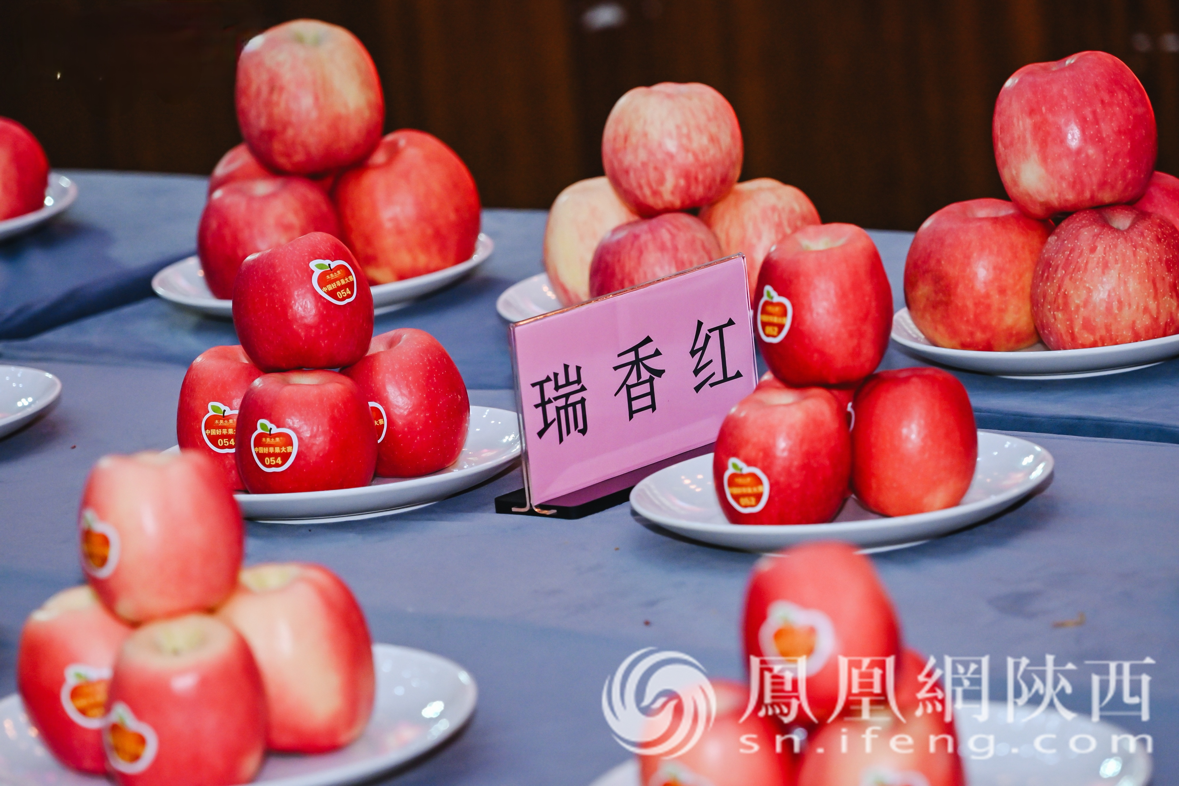 宝鸡瑞香红苹果全链开发启动 千阳苹果品牌盛装亮相农高会