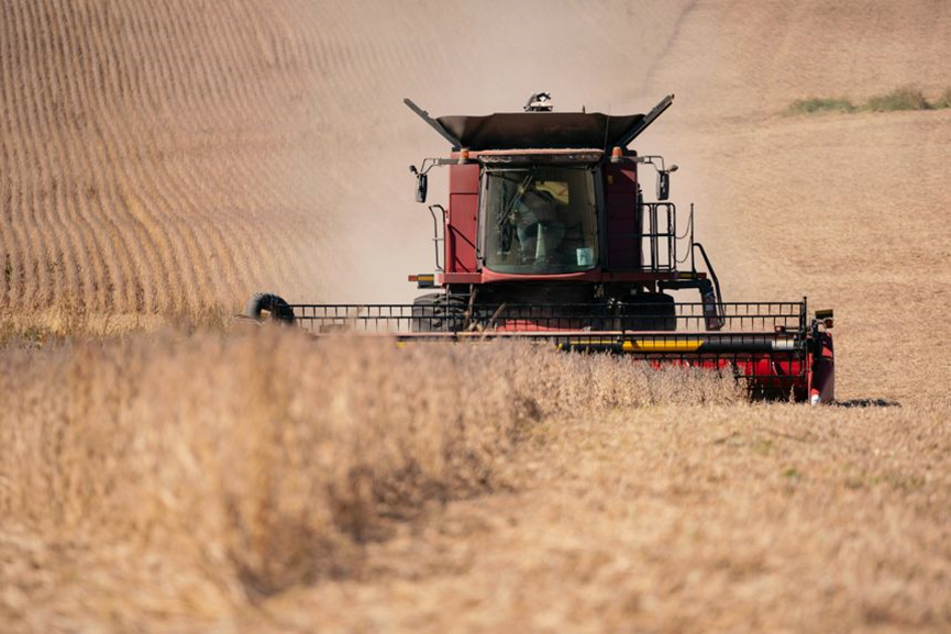 ▎作为美国大豆最大买家,中国在5月暂停采购,威胁到数十万农民的收入。会晤后,特朗普称中国将采购“大量”美国大豆。(图源:盖蒂图片社)