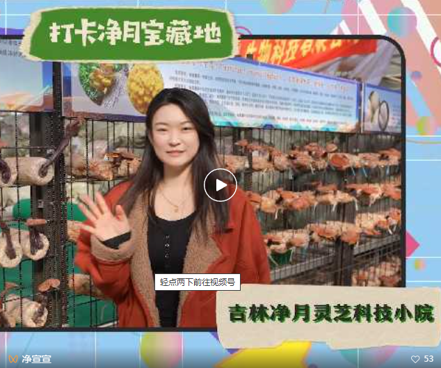 点击图片打开视频