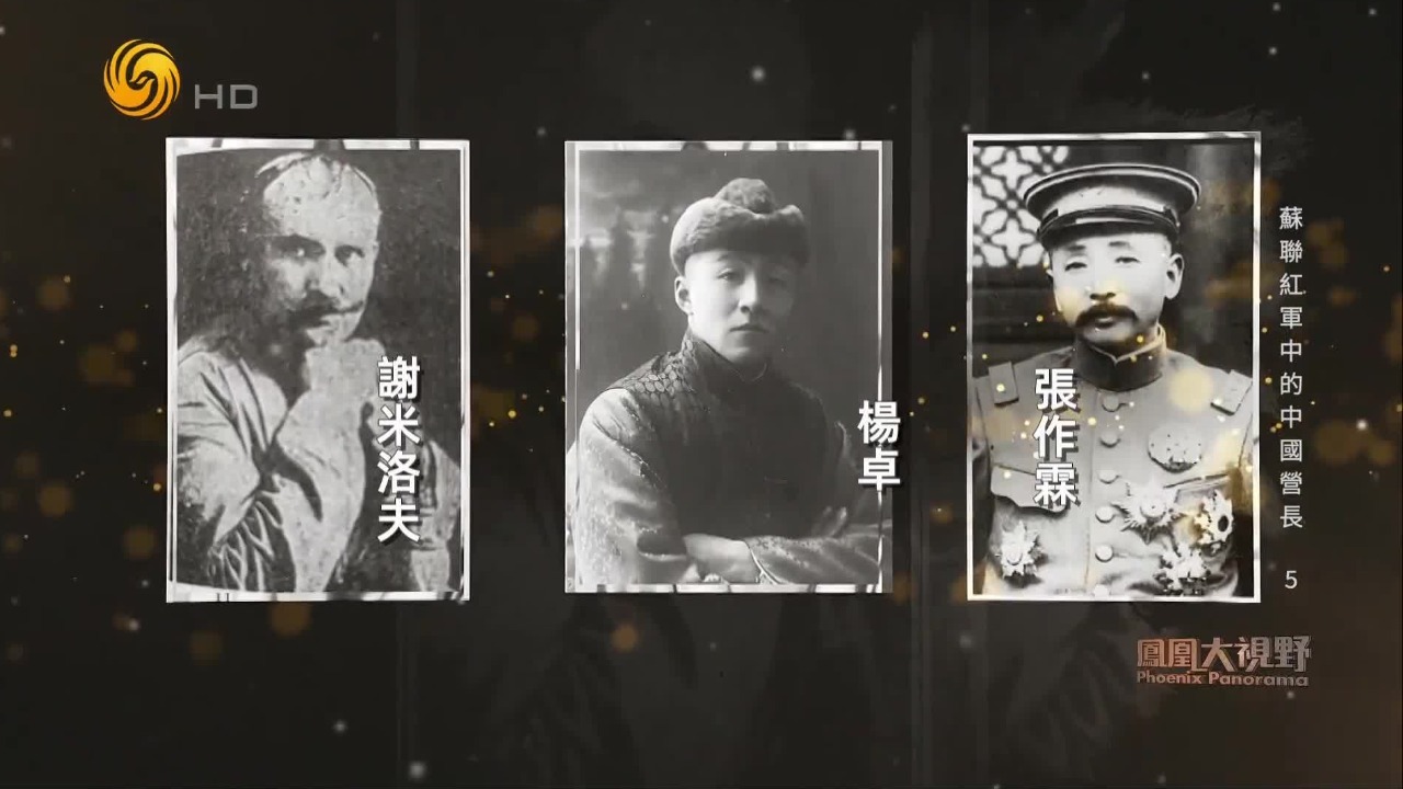 杨卓与包清山在双重身份中秘密切换，为何最终被张作霖秘密枪决？