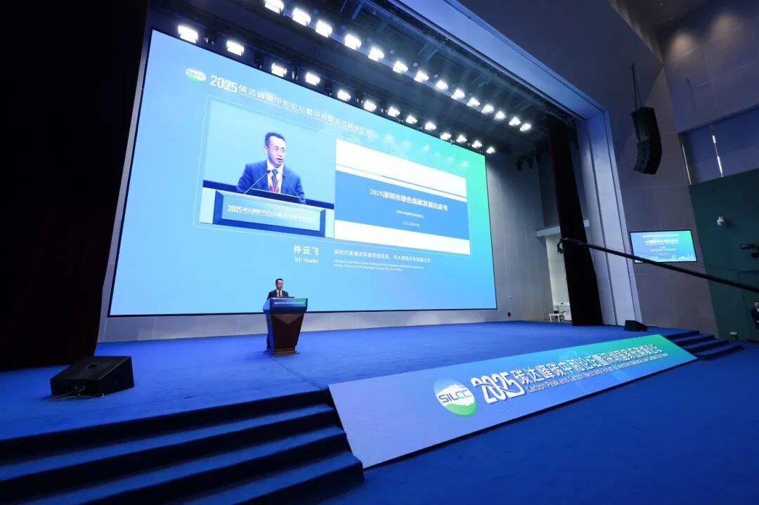 龙岗融媒记者 李凯 摄