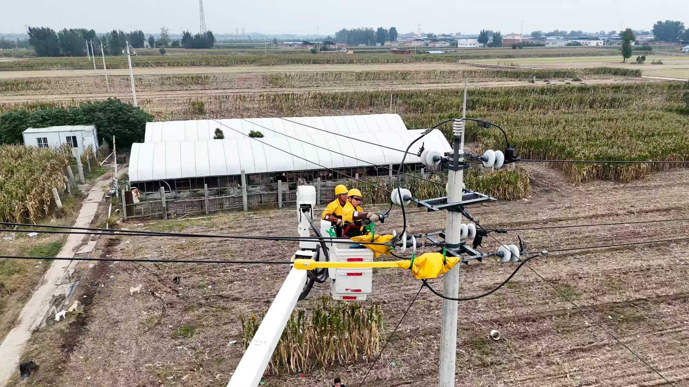 河南新乡辉县市供电公司对10千伏姚许线李千户支线开展不停电作业，及时消除高压线路安全距离隐患，为农户秋收、粮食烘干筑牢用电安全防线。（苗予磊）