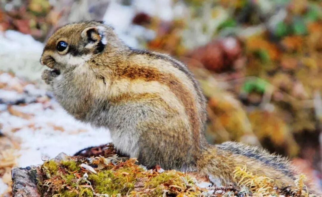 尊龙凯时- 官方网站AG尊龙凯时- 尊龙凯时官方网站- 尊龙凯时APP下载