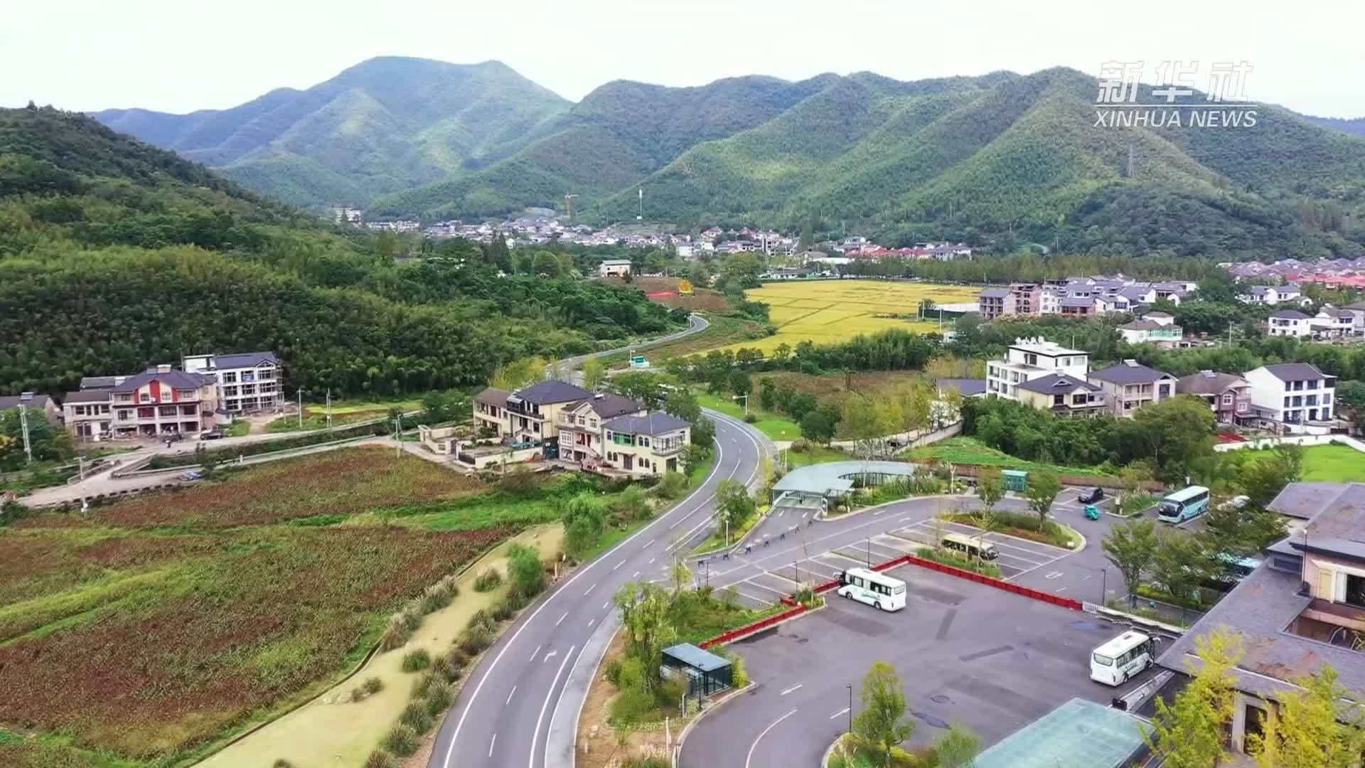 浙江安吉：一片叶子富了一方百姓