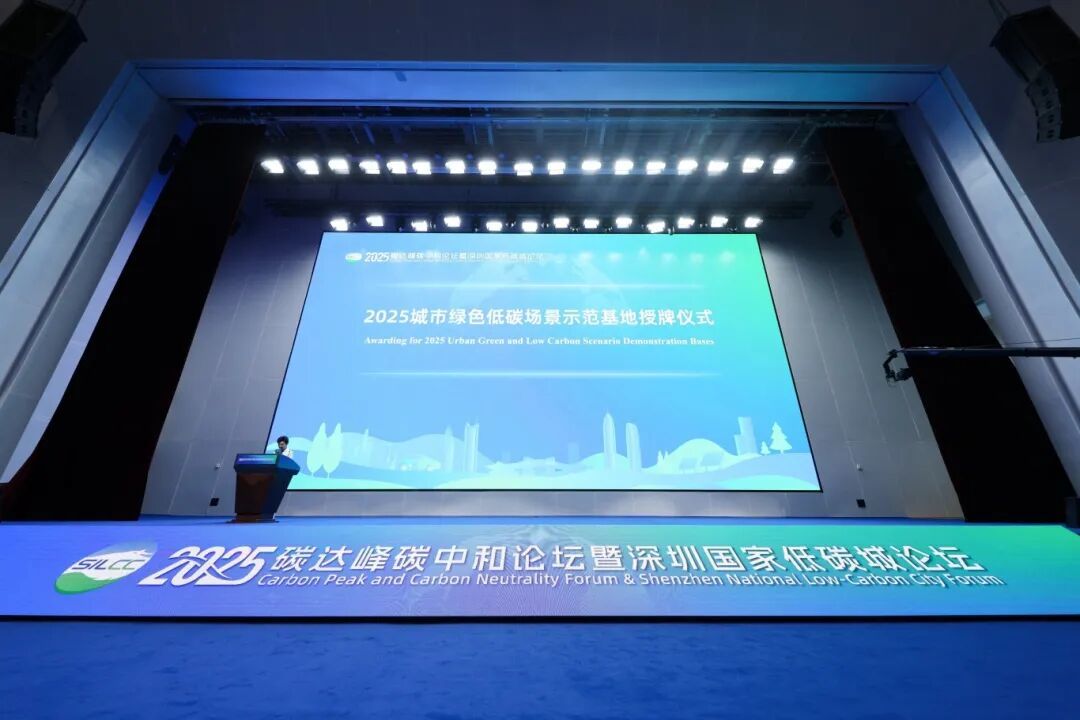 龙岗融媒记者 李凯 摄