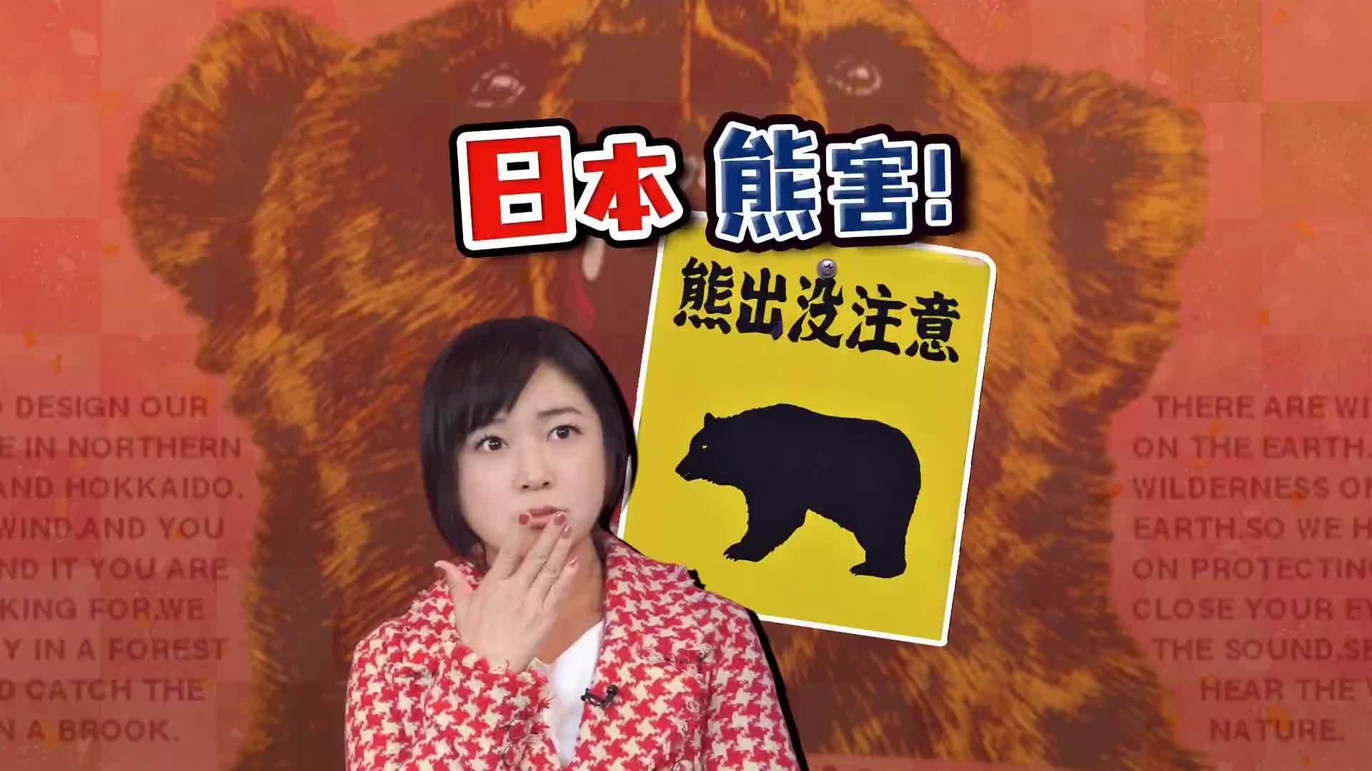 日本熊害12死创新高 “熊食人”逼近东京 自卫队要出动