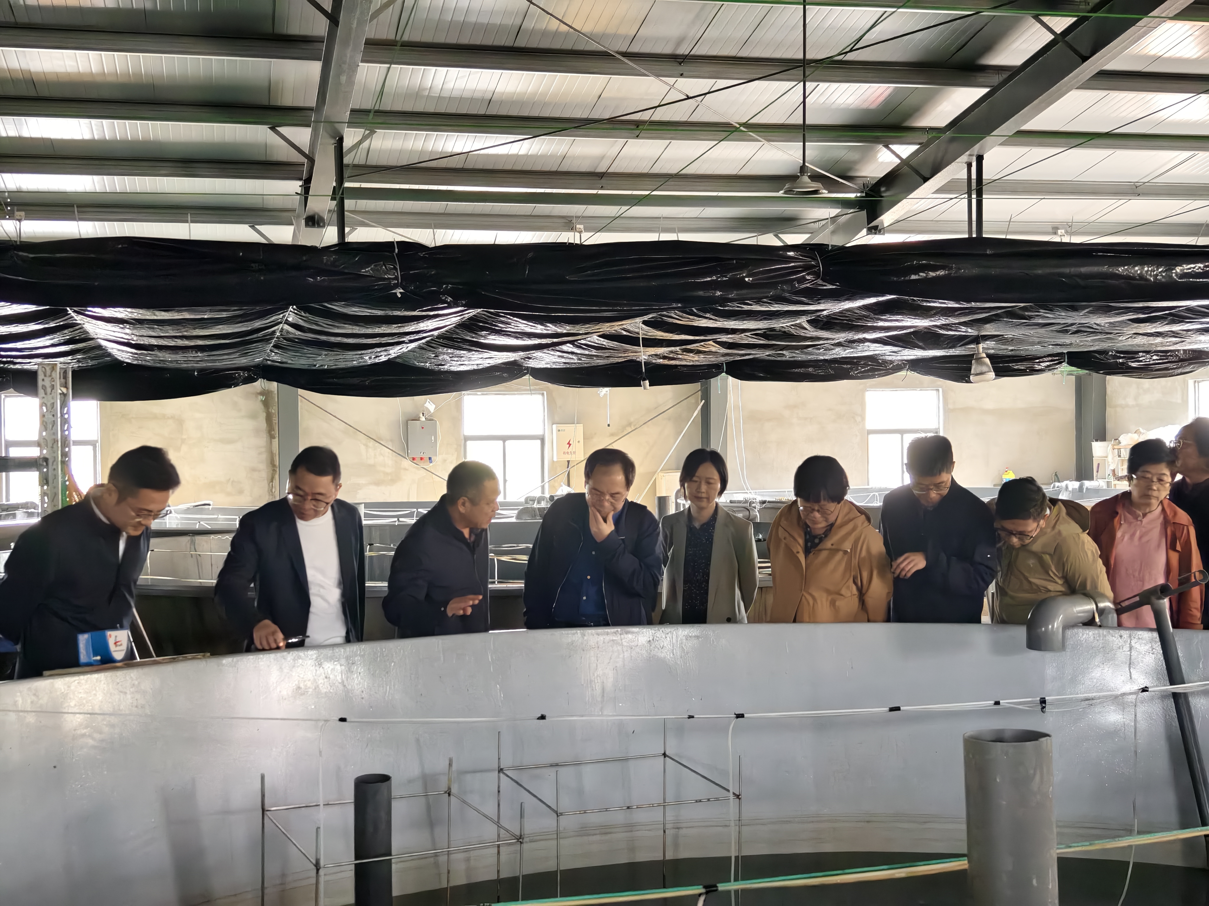 专家三度聚咸祥,共谋全球海水种业创新发展