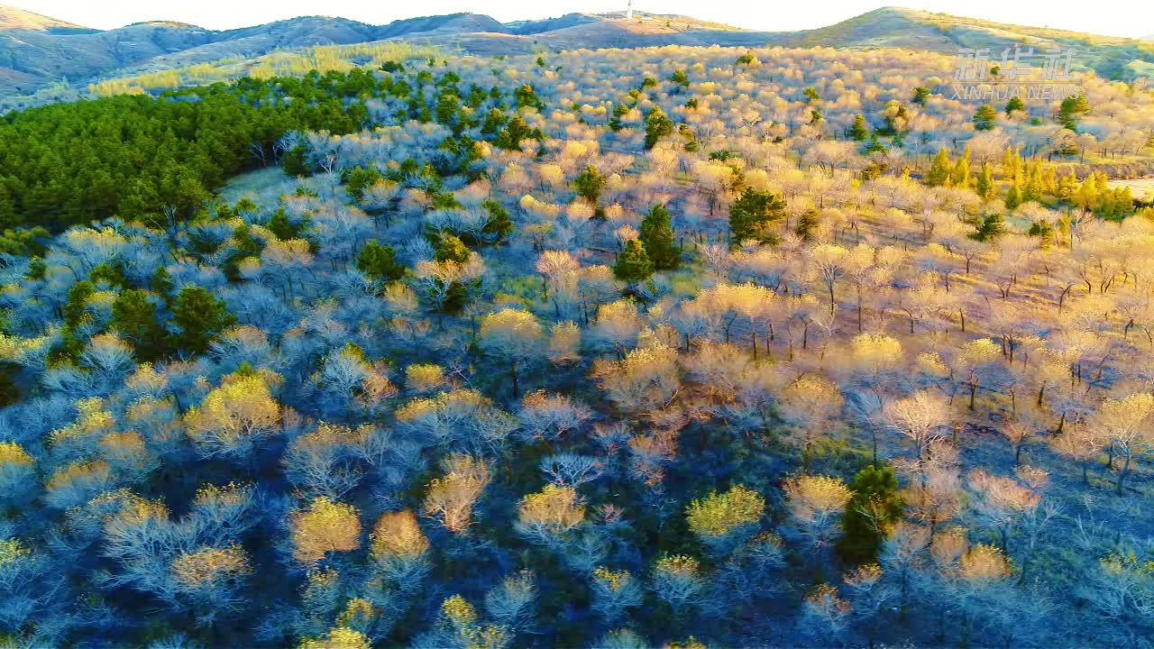 瞰中国｜内蒙古：沃野暮秋