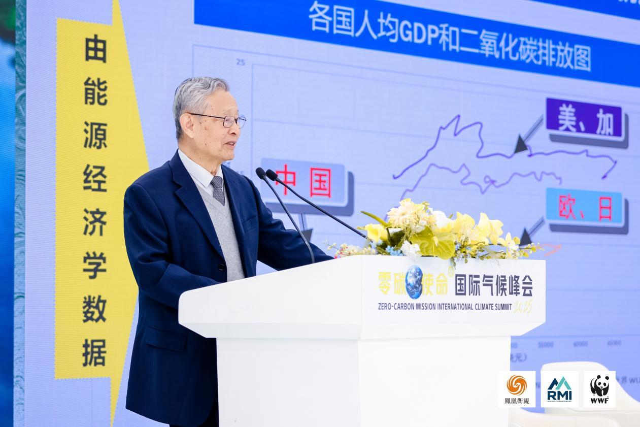 中国工程院院士，国家能源咨询专家委员会副主任杜祥琬