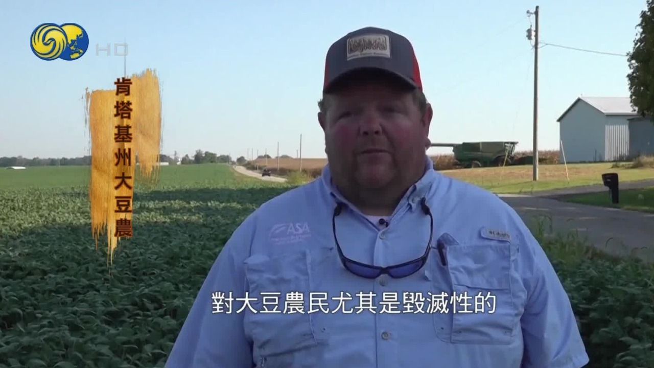 大豆粮仓轰然倒塌，中国一颗没买，力挺特朗普的美国豆农再也绷不住了