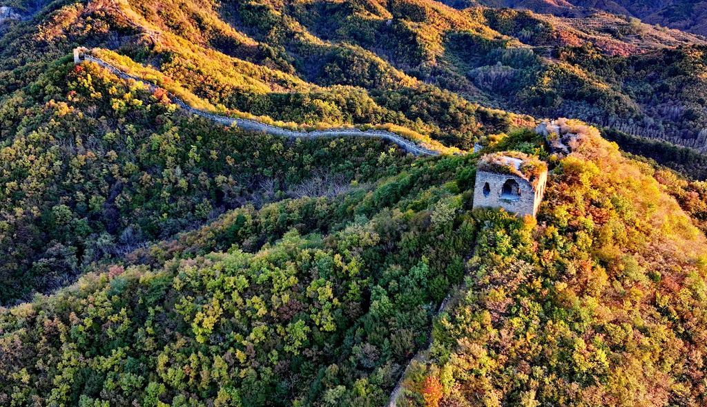 10月27日拍摄的秦皇岛市海港区驻操营镇长城秋景。