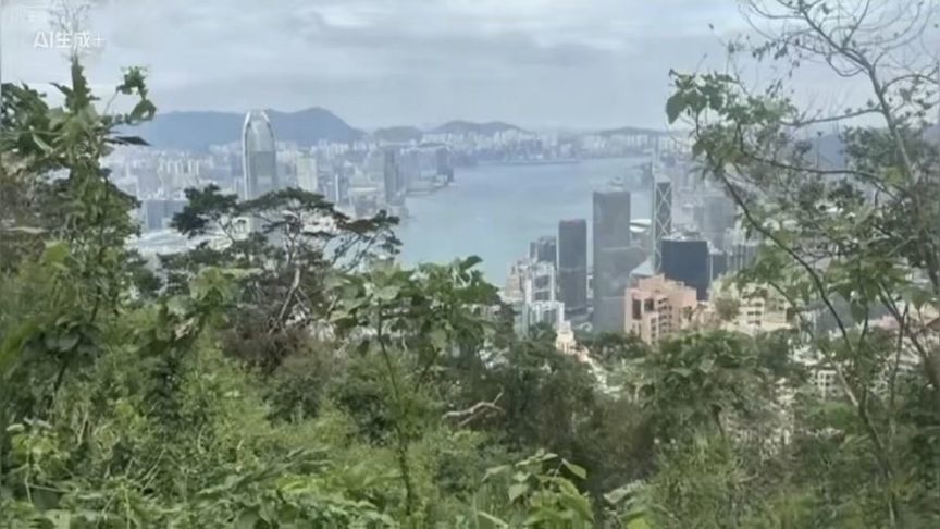 登港岛太平山顶