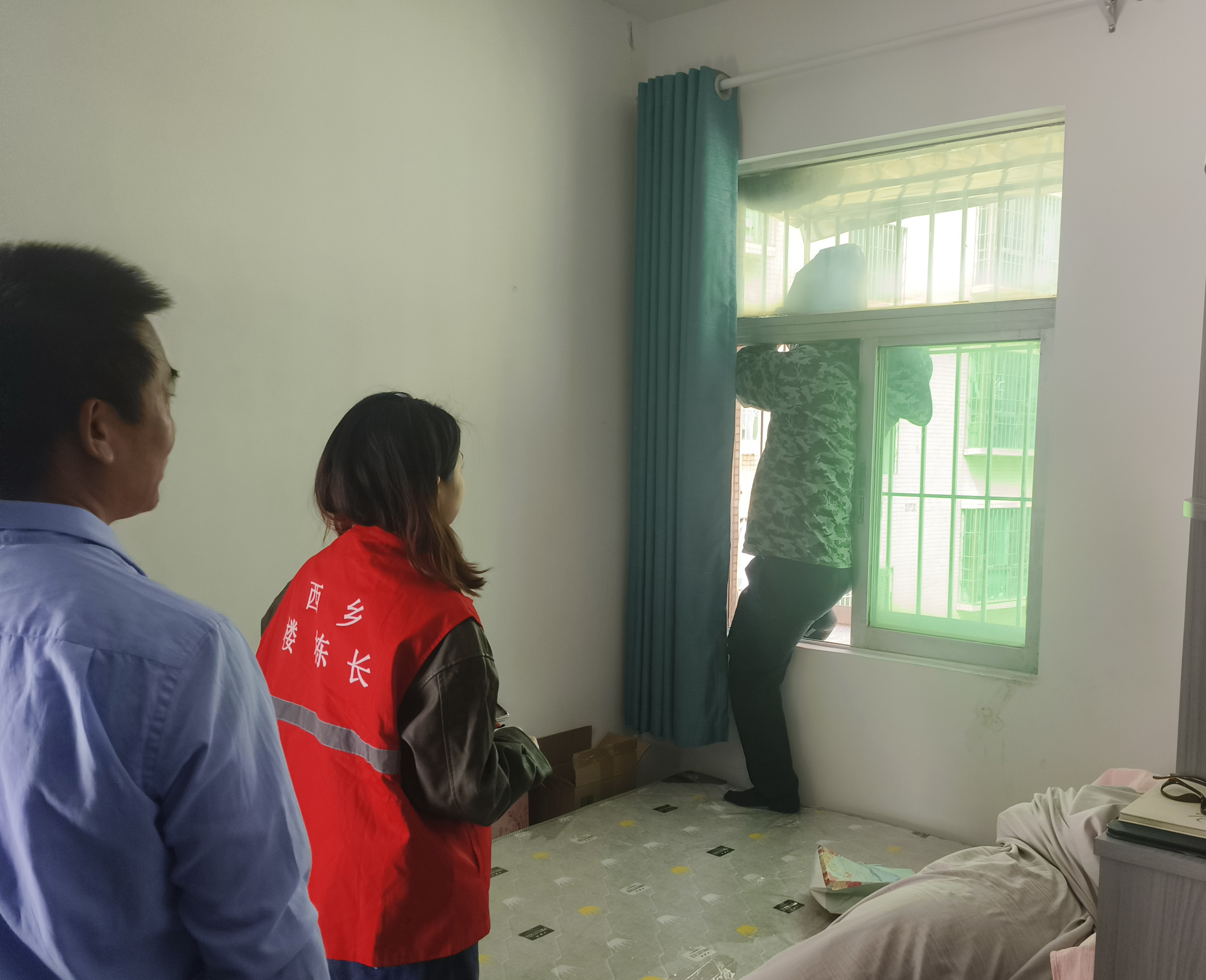 为民敢“捅”马蜂窝,西乡网格员快处置、居民好安心