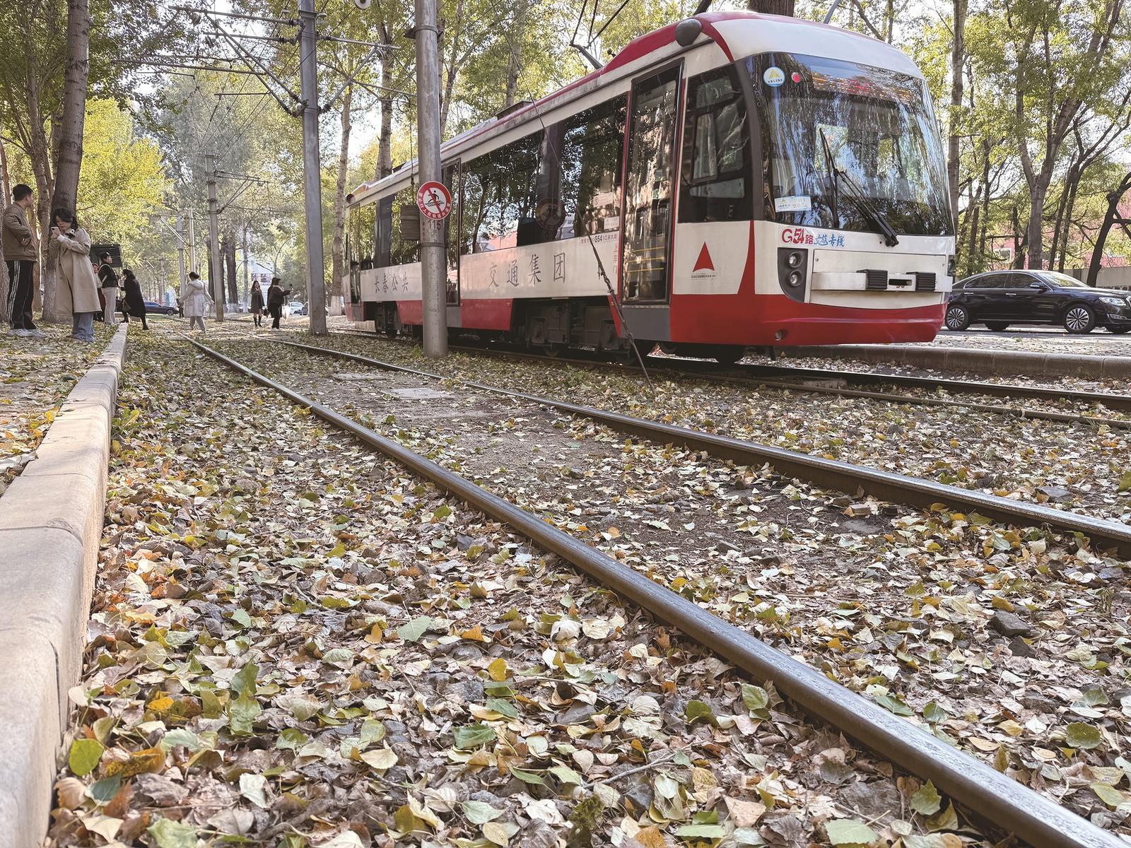 电车沿线布满落叶